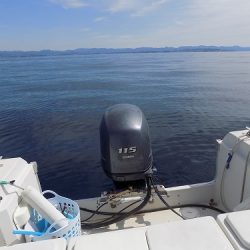 フィッシングボート空風（そらかぜ） 釣果