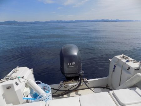 フィッシングボート空風（そらかぜ） 釣果