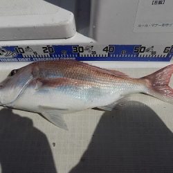 フィッシングボート空風（そらかぜ） 釣果