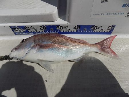 フィッシングボート空風（そらかぜ） 釣果