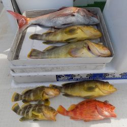 フィッシングボート空風（そらかぜ） 釣果