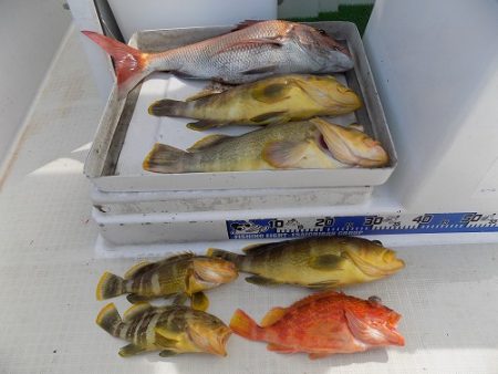 フィッシングボート空風（そらかぜ） 釣果