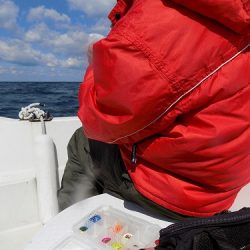 フィッシングボート空風(そらかぜ) 釣果