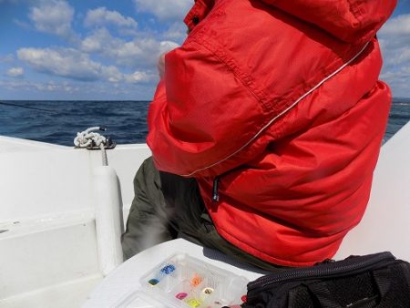 フィッシングボート空風(そらかぜ) 釣果
