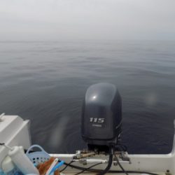 フィッシングボート空風(そらかぜ) 釣果