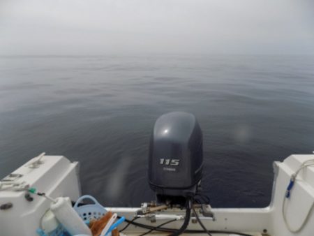 フィッシングボート空風(そらかぜ) 釣果