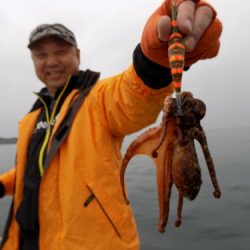 フィッシングボート空風(そらかぜ) 釣果