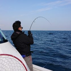 フィッシングボートACE（エース） 釣果