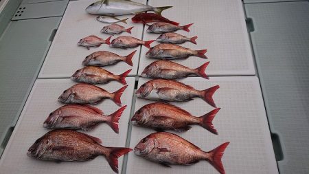 フィッシングボートACE（エース） 釣果