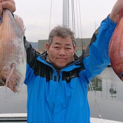 フィッシングボートACE(エース) 釣果