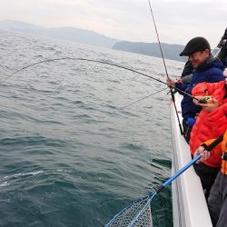 フィッシングボートACE(エース) 釣果