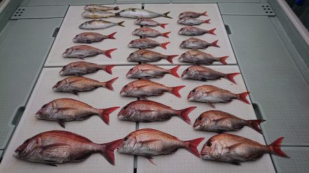 フィッシングボートACE(エース) 釣果