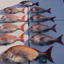 フィッシングボートACE(エース) 釣果