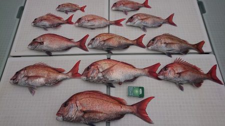 フィッシングボートACE(エース) 釣果