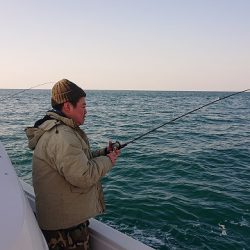 フィッシングボートACE(エース) 釣果