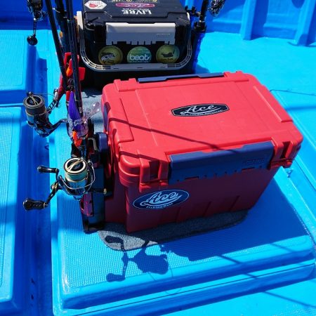 フィッシングボートACE(エース) 釣果