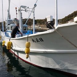 フィッシングボートACE(エース) 釣果