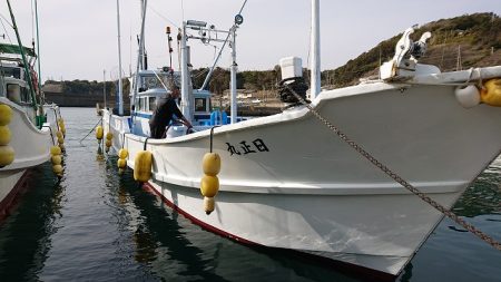 フィッシングボートACE(エース) 釣果