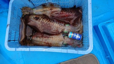 フィッシングボートACE(エース) 釣果