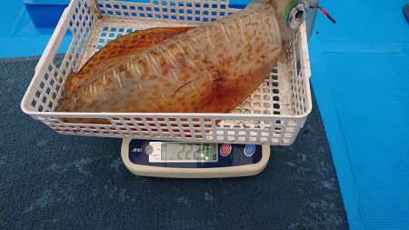 フィッシングボートACE(エース) 釣果