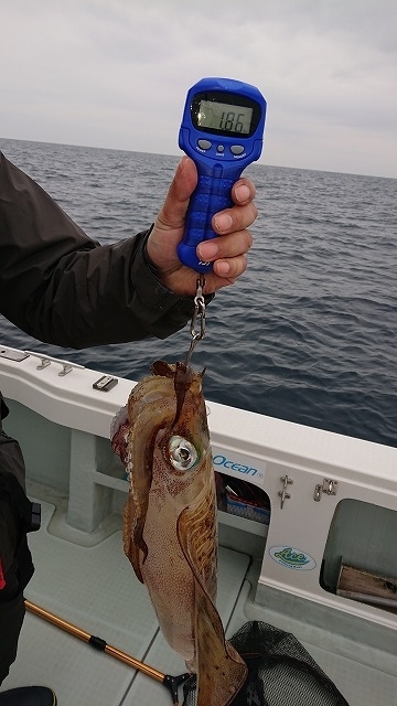 フィッシングボートACE(エース) 釣果