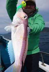 愛海丸 釣果
