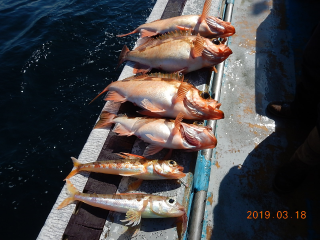 作十丸 釣果