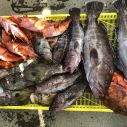 Sea Frend 片山丸 釣果