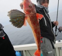 兼六丸 釣果
