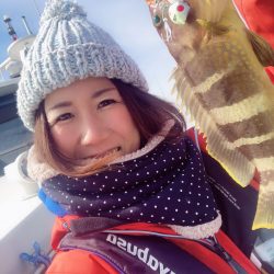 福井県小浜雲丸　ハヤブサのジグやテンヤ使用で、シーバス狙いの「白身三昧便」