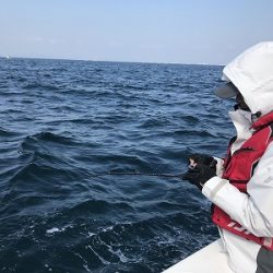 フィシングボートAir(エアー) 釣果