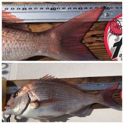 フィシングボートAir(エアー) 釣果