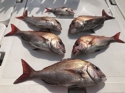 フィシングボートAir(エアー) 釣果