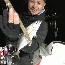 フィシングボートAir(エアー) 釣果