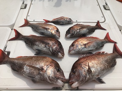 フィシングボートAir(エアー) 釣果