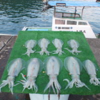 久勝丸 釣果