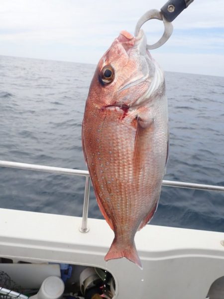 Aquanaut(アクアノート) 釣果