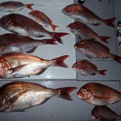 Aquanaut(アクアノート) 釣果