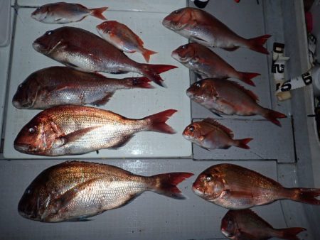 Aquanaut(アクアノート) 釣果