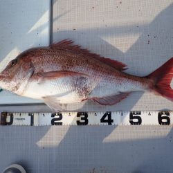 Aquanaut（アクアノート） 釣果