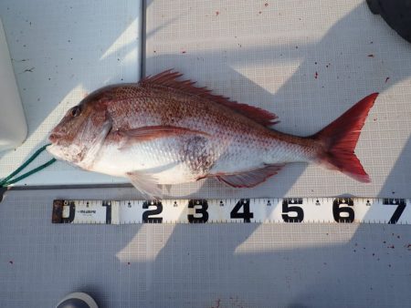 Aquanaut（アクアノート） 釣果