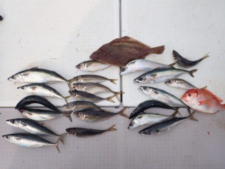 Aquanaut（アクアノート） 釣果