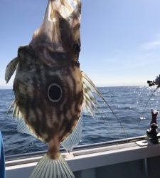 さぶろう丸 釣果