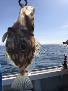 さぶろう丸 釣果