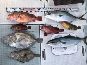 さぶろう丸 釣果