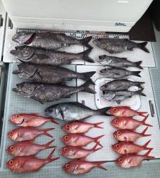 さぶろう丸 釣果