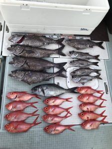 さぶろう丸 釣果