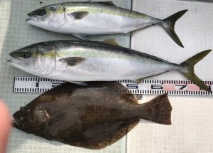 さぶろう丸 釣果