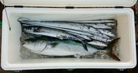 火遠理丸（ほおりまる） 釣果