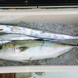 火遠理丸(ほおりまる) 釣果